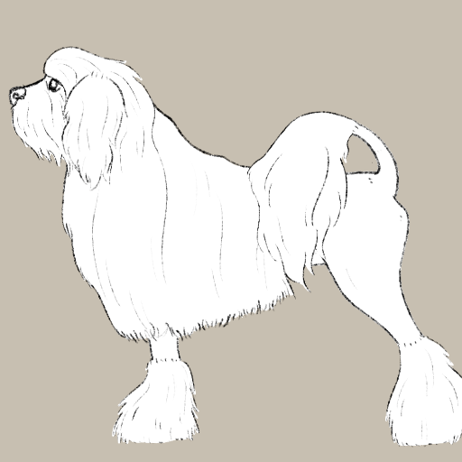Löwchen Designer (v1) icon