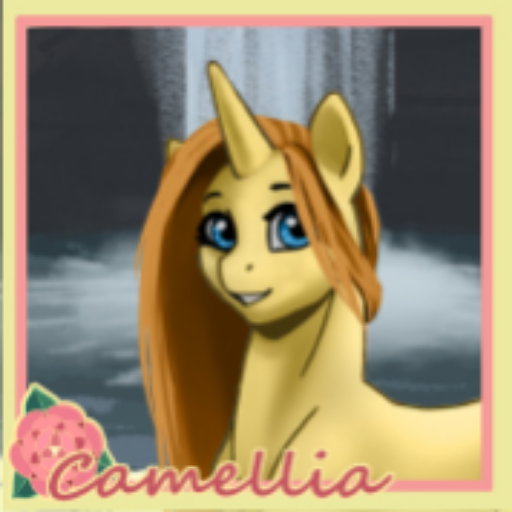 Pony Designer icon