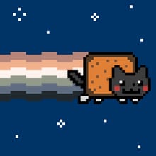 Toaster Pastry Rainbow Cat