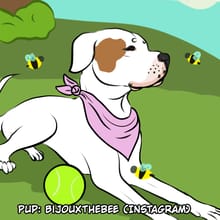 Dress up Bijoux!