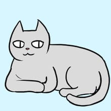Test Meiker (Cat Meiker)
