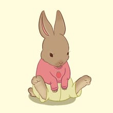 Bunny Dress Up