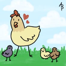 Chicken-Chicken 2