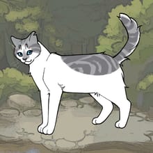 Warrior Cat Maker