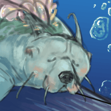 Crea il tuo Orso Marino