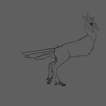 create your silly birb