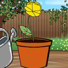 Grow a Seed