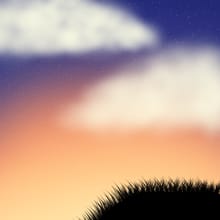 Sunset Silhouette