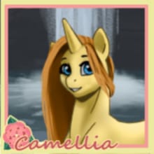 Pony Designer