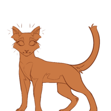 kitty cat kinwoods