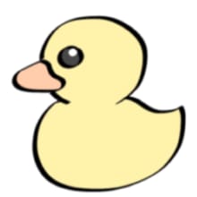 🐤Custom Duck🐤