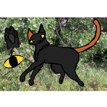 Cat Reference Creator