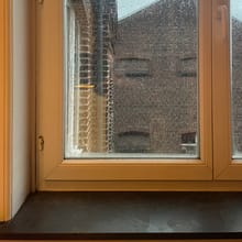 La nature morte dans la Nouvelle Objectivité