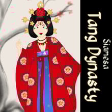 Tang Dynasty Beauty