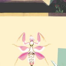 Insekten Entdecken
