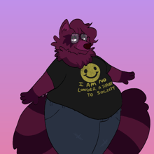 A Silly Raccoon's Closet