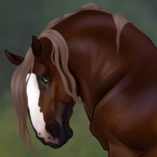 heavy horse coat creator