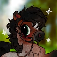 Pony dress-up