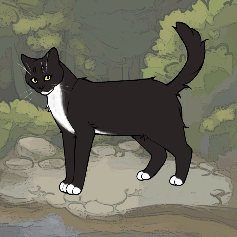 Tuxedo Cat - ZA made with Warrior Cat Maker