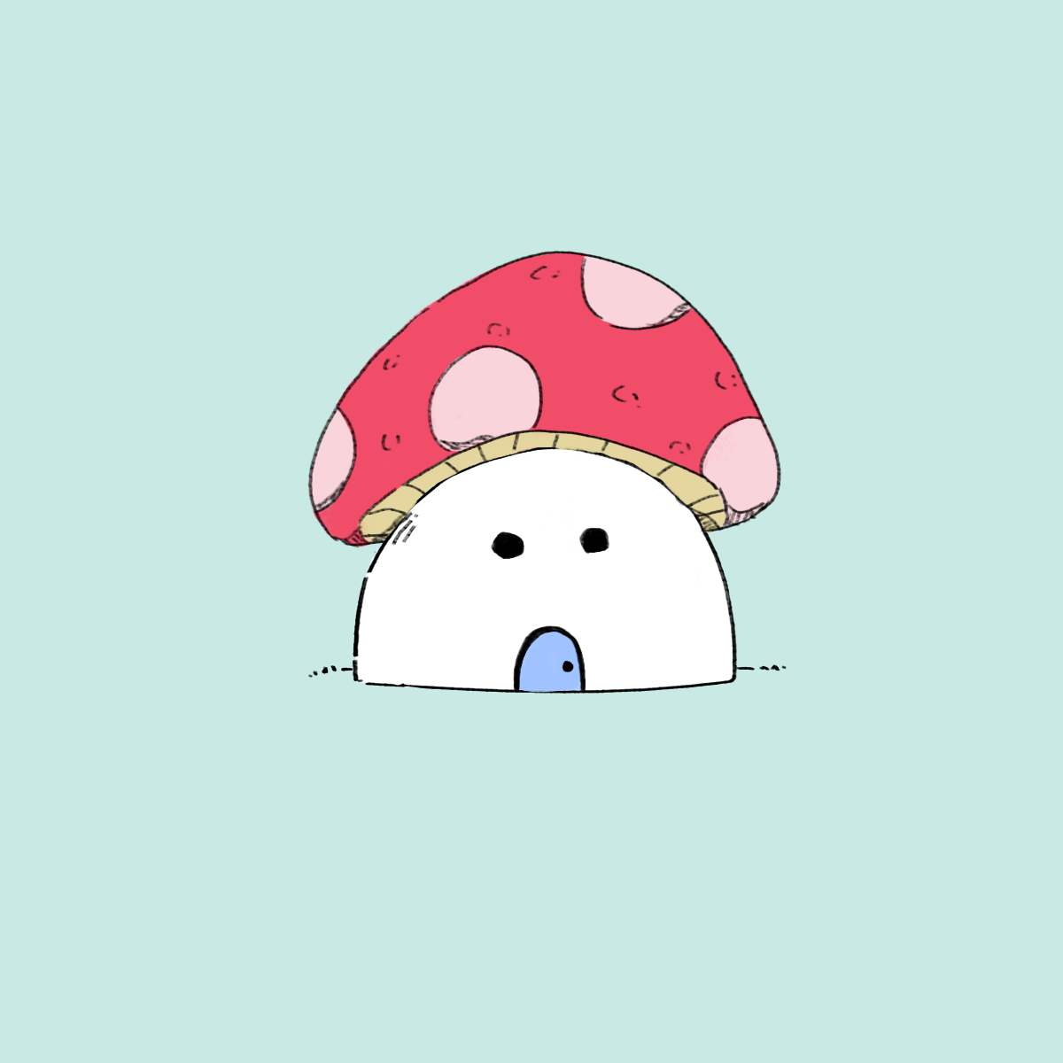 Dohome Maker - ZA made with Dohome Maker