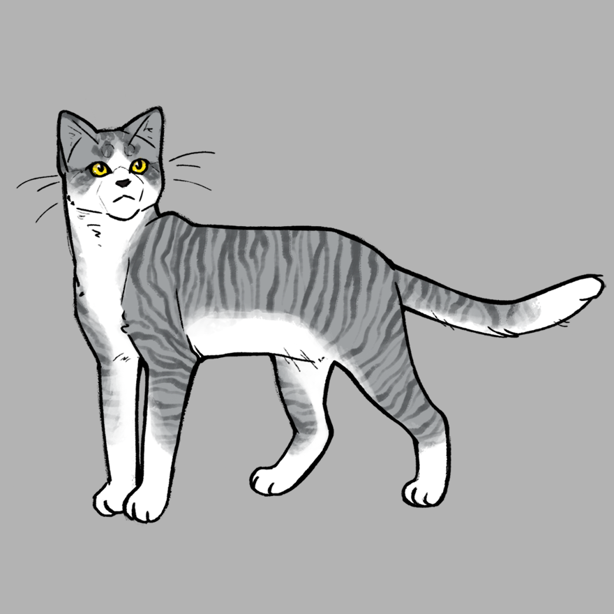 Cat Maker - ZA made with Cat Maker (WIP)