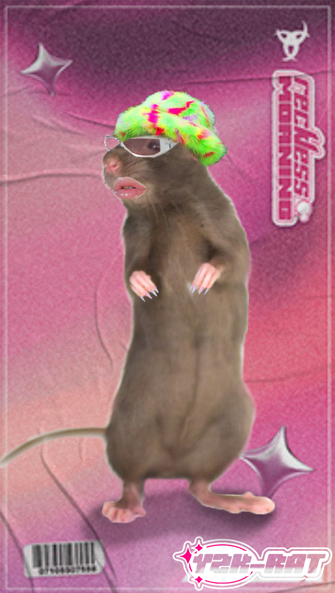 Rat 2 K - ZA made with Rat 2 K