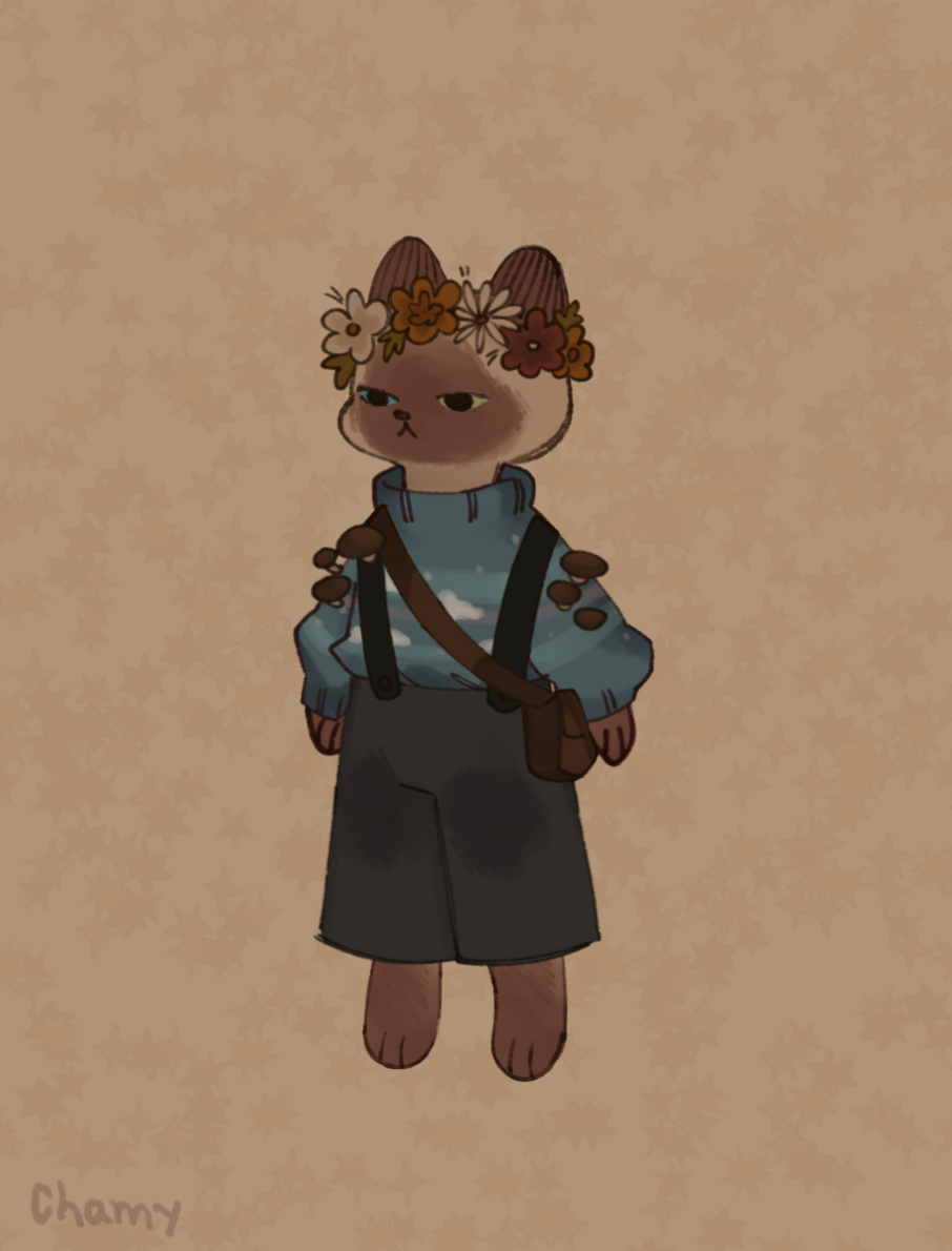kitty made with cottage cats