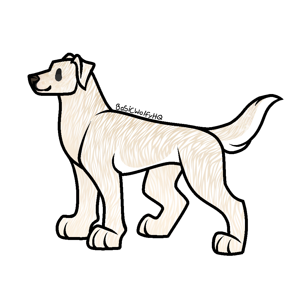 Junia made with Dog generator!